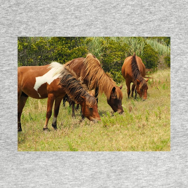 Assateague Ponies Grazing for Lunch by Swartwout